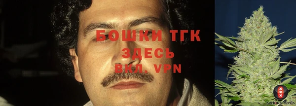 таблы Надым