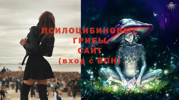 таблы Надым