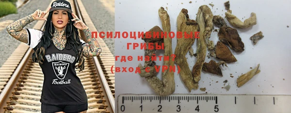 таблы Надым